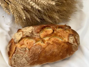 Ciabatta